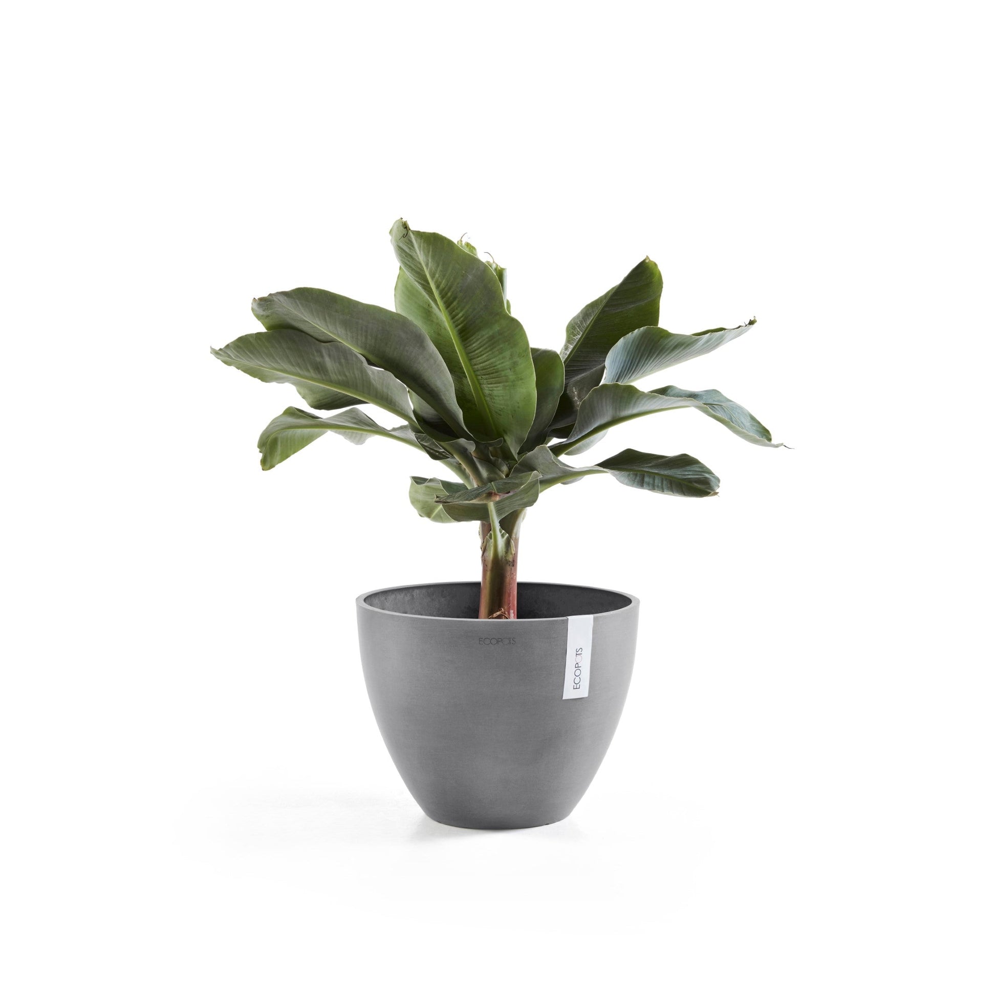 Kukkaruukku - Ecopots - Antwerpen 50cm harmaa - Ecopotskauppa - Uuden aikakauden kukkaruukku