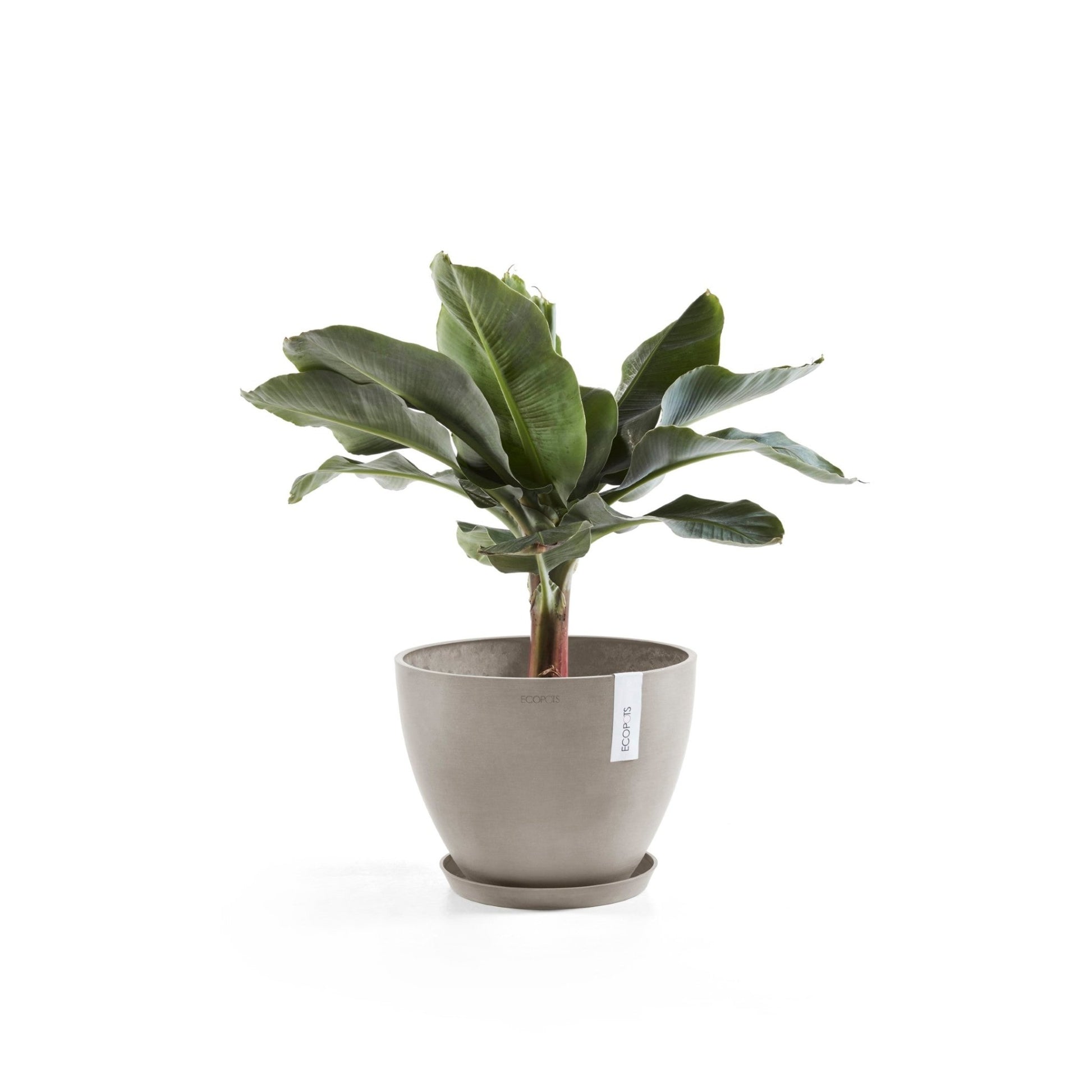 Kukkaruukku - Ecopots - Antwerpen 50cm taupe - Ecopotskauppa - Uuden aikakauden kukkaruukku