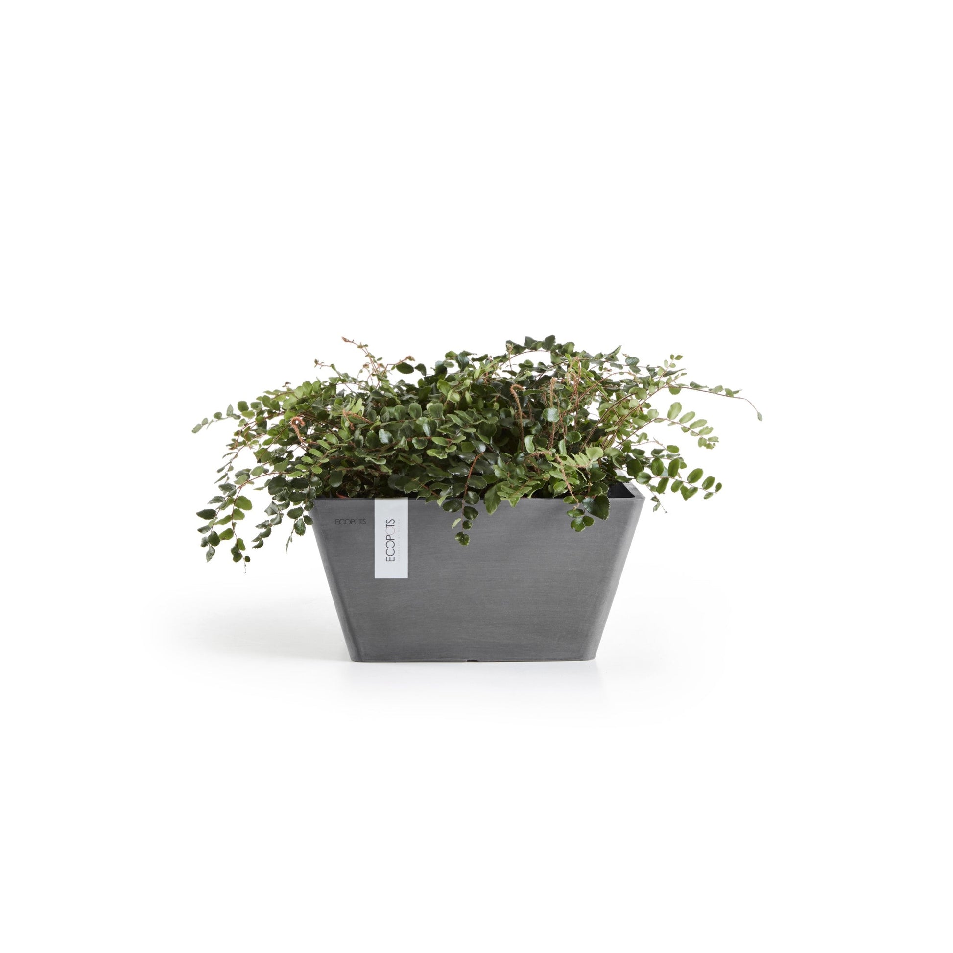 Kukkaruukku - Ecopots - Berliini 25cm harmaa - Ecopotskauppa - Uuden aikakauden kukkaruukku