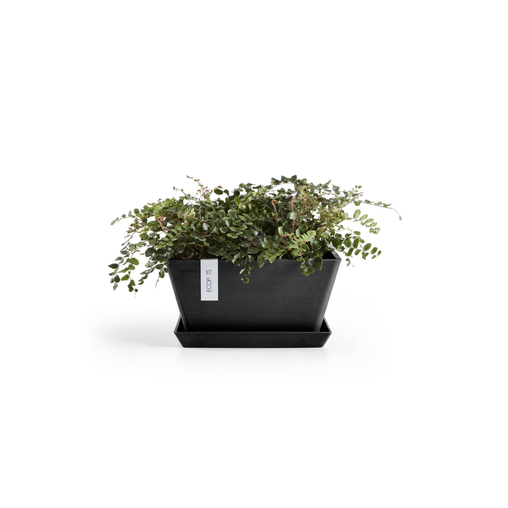 Kukkaruukku - Ecopots - Berliini 25cm tummanharmaa - Ecopotskauppa - Uuden aikakauden kukkaruukku