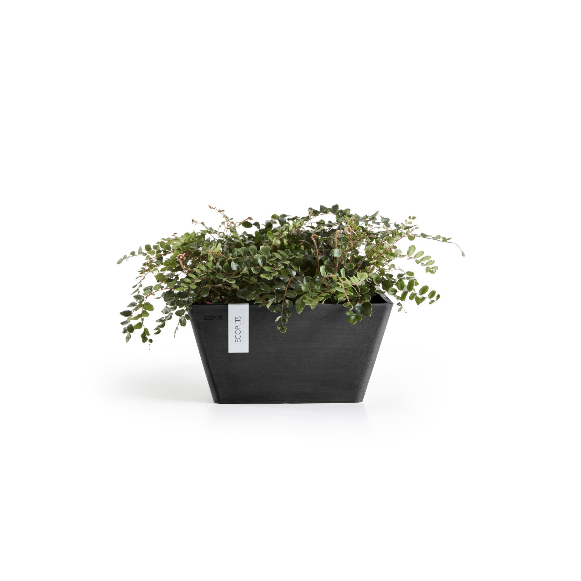 Kukkaruukku - Ecopots - Berliini 25cm tummanharmaa - Ecopotskauppa - Uuden aikakauden kukkaruukku