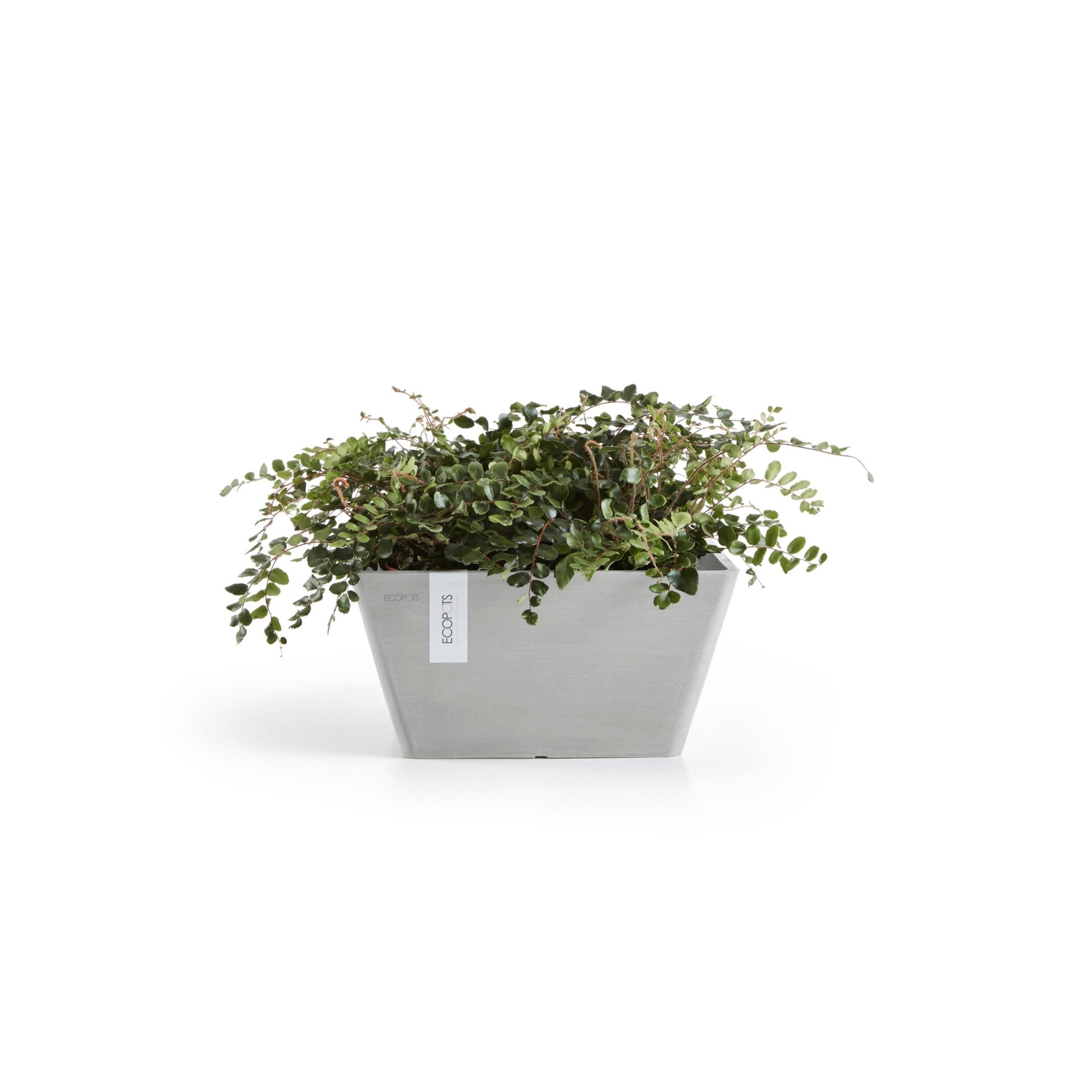 Kukkaruukku - Ecopots - Berliini 25cm valkoharmaa - Ecopotskauppa - Uuden aikakauden kukkaruukku