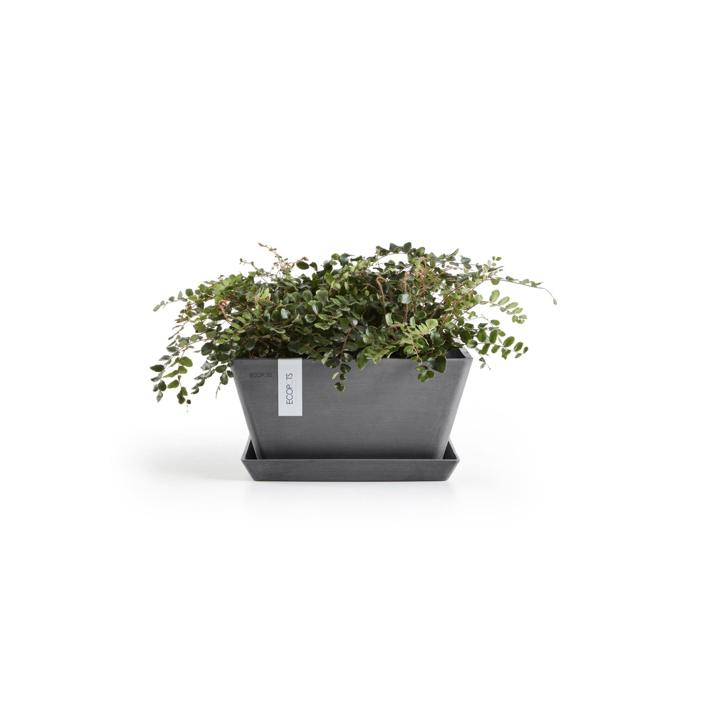 Kukkaruukku - Ecopots - Berliini 30cm harmaa - Ecopotskauppa - Uuden aikakauden kukkaruukku