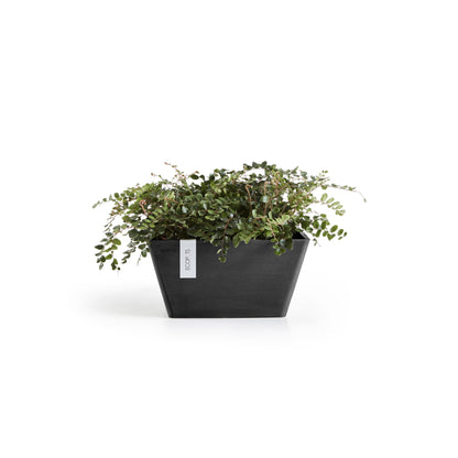 Kukkaruukku Berliini 30cm tummanharmaa – kasvin kanssa 2