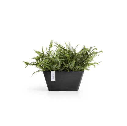 Kukkaruukku Berliini 30cm tummanharmaa – kasvin kanssa 3
