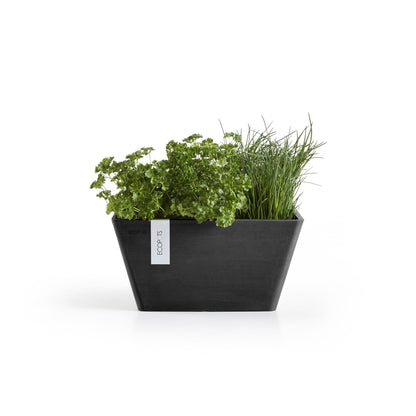 Kukkaruukku Berliini 30cm tummanharmaa – kasvin kanssa