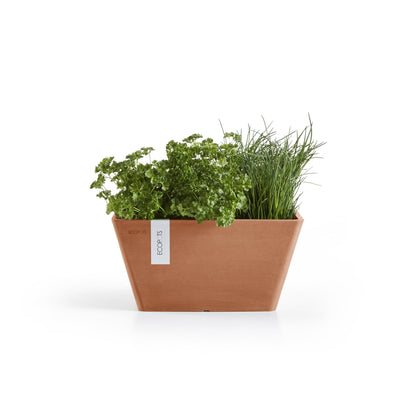 Kukkaruukku Berliini 40cm terracotta – kasvin kanssa