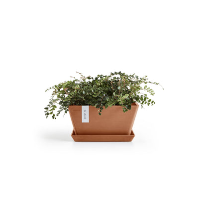 Kukkaruukku Berliini 40cm terracotta – aluslautasen ja kasvin kanssa