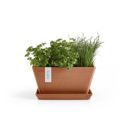 Kukkaruukku Berliini 40cm terracotta – aluslautasen ja kasvin kanssa 3
