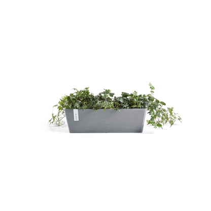 Kukkaruukku Bruge 45cm siniharmaa – kasvin kanssa 2