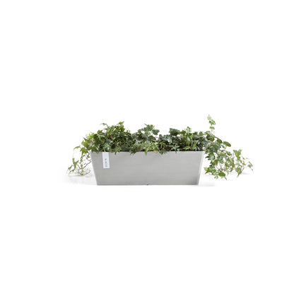 Kukkaruukku Bruge 65cm valkoharmaa – kasvin kanssa 2