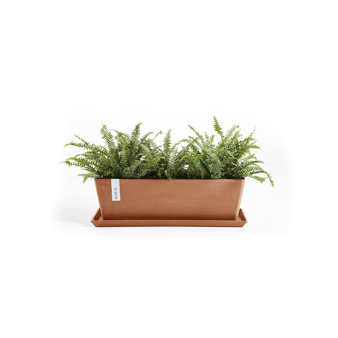 Kukkaruukku - Ecopots - Bruge aluslautanen 65cm terracotta - Ecopotskauppa - Uuden aikakauden kukkaruukku