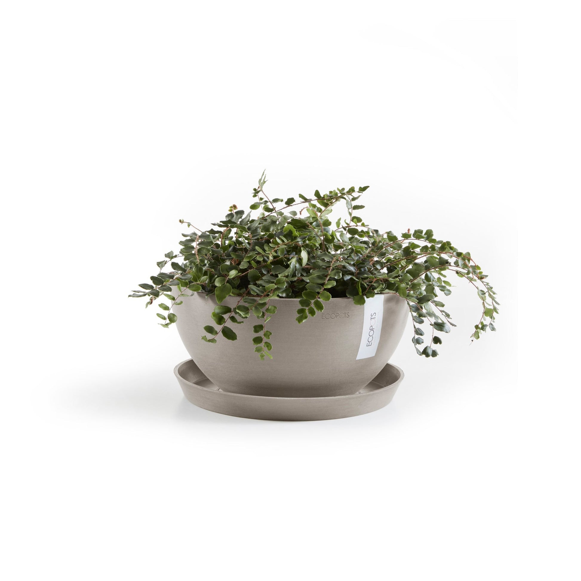 Kukkaruukku - Ecopots - Brysseli 25cm taupe - Ecopotskauppa - Uuden aikakauden kukkaruukku