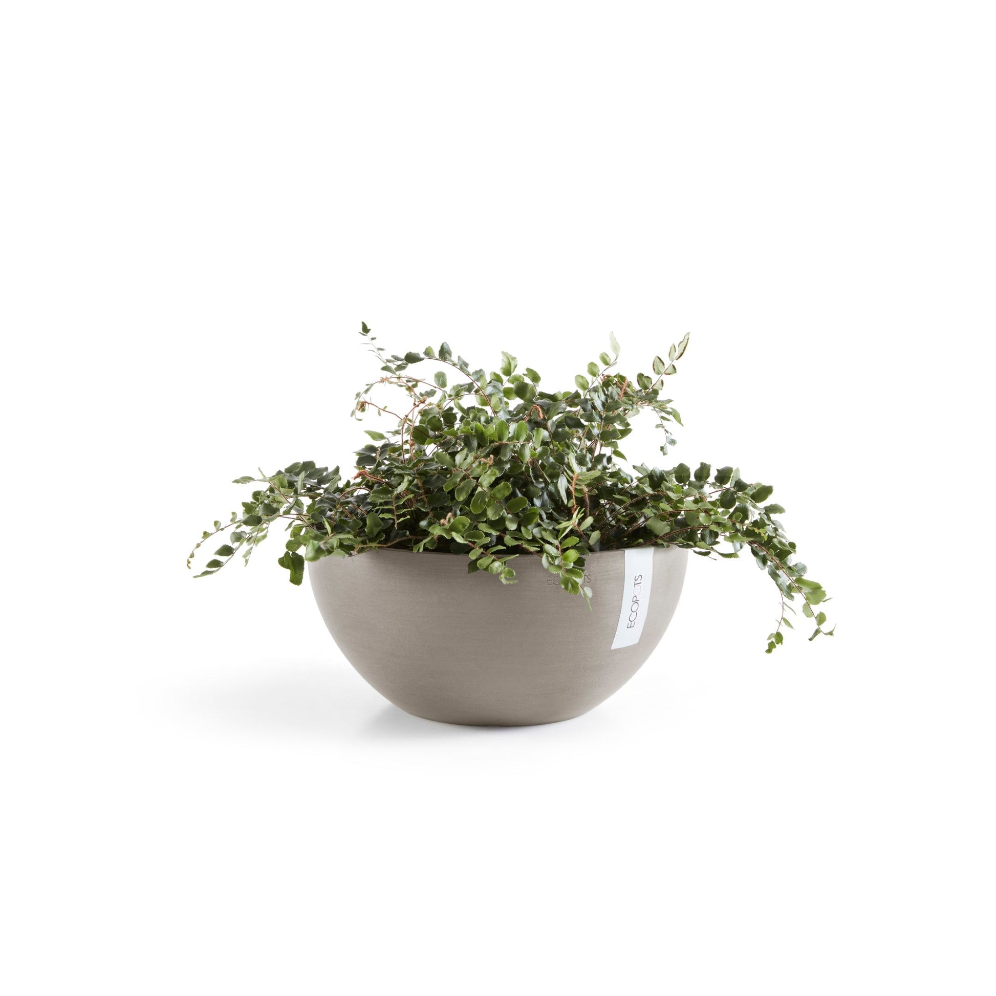 Kukkaruukku - Ecopots - Brysseli 25cm taupe - Ecopotskauppa - Uuden aikakauden kukkaruukku