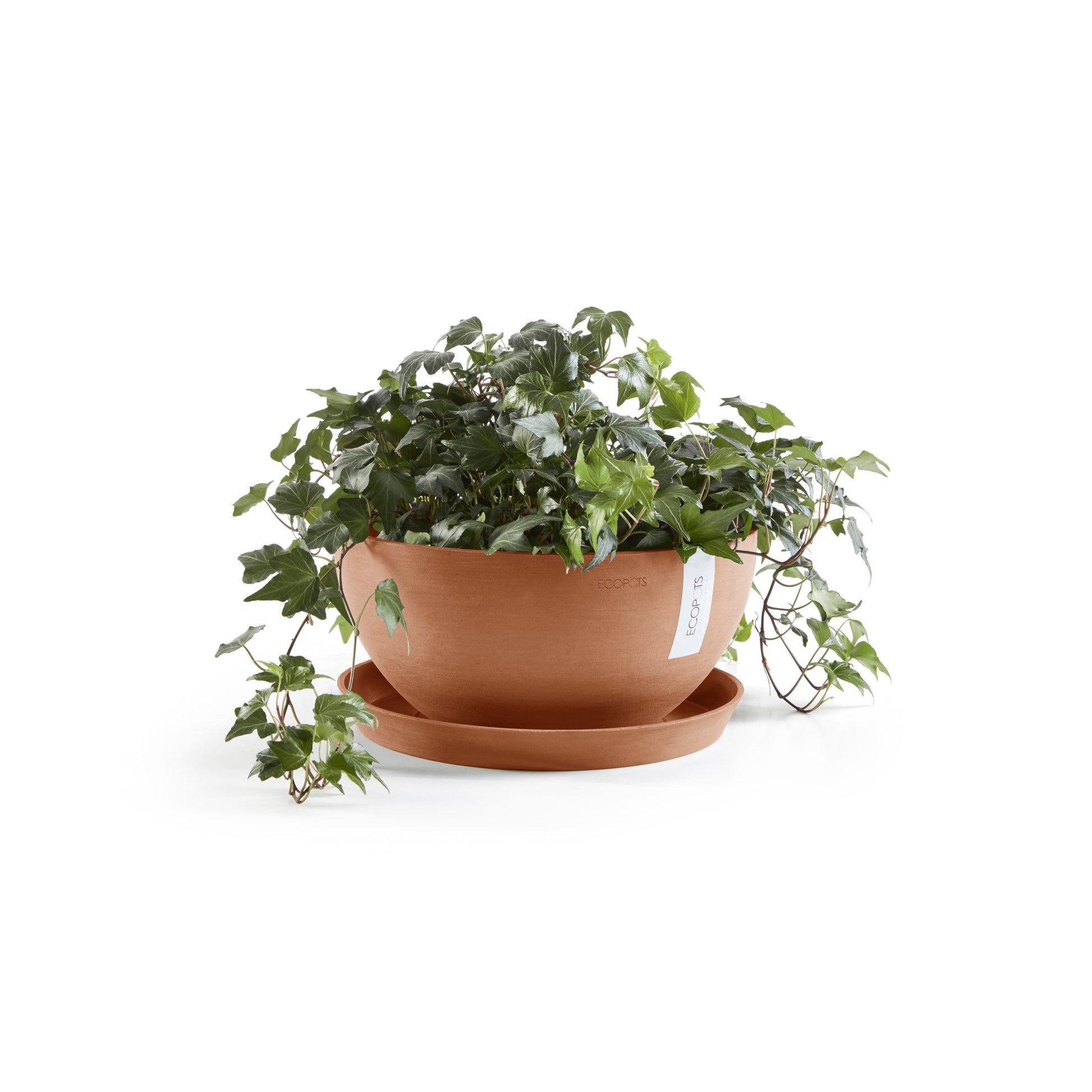 Kukkaruukku - Ecopots - Brysseli 25cm terracotta - Ecopotskauppa - Uuden aikakauden kukkaruukku