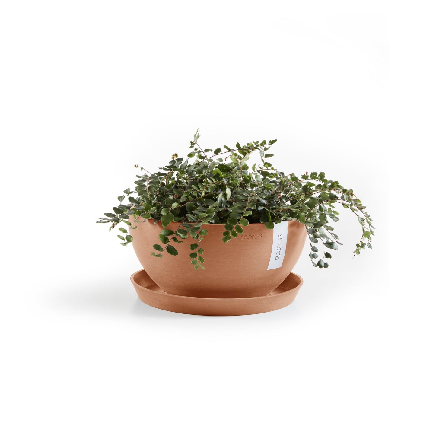 Kukkaruukku - Ecopots - Brysseli 25cm terracotta - Ecopotskauppa - Uuden aikakauden kukkaruukku