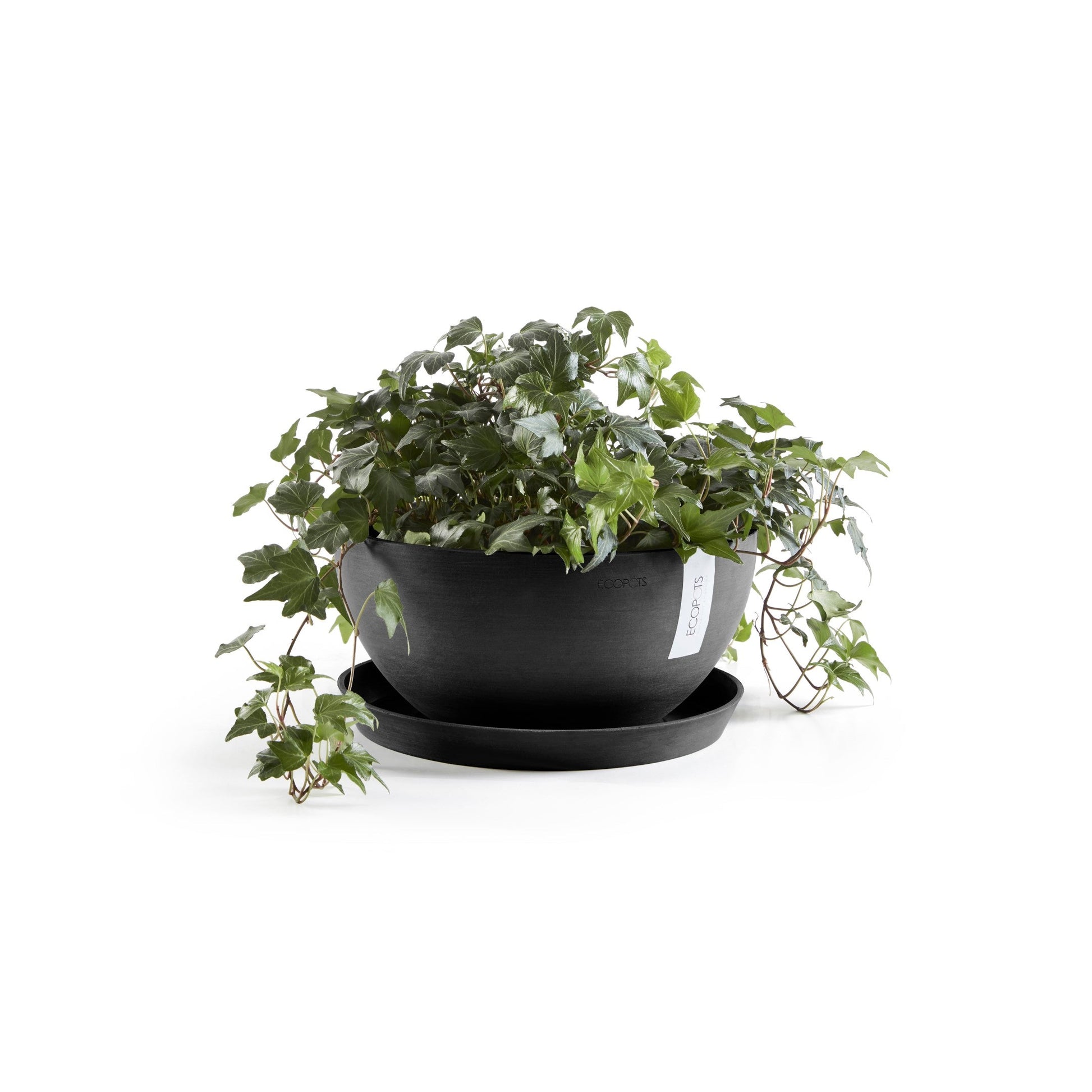 Kukkaruukku - Ecopots - Brysseli 25cm tummanharmaa - Ecopotskauppa - Uuden aikakauden kukkaruukku