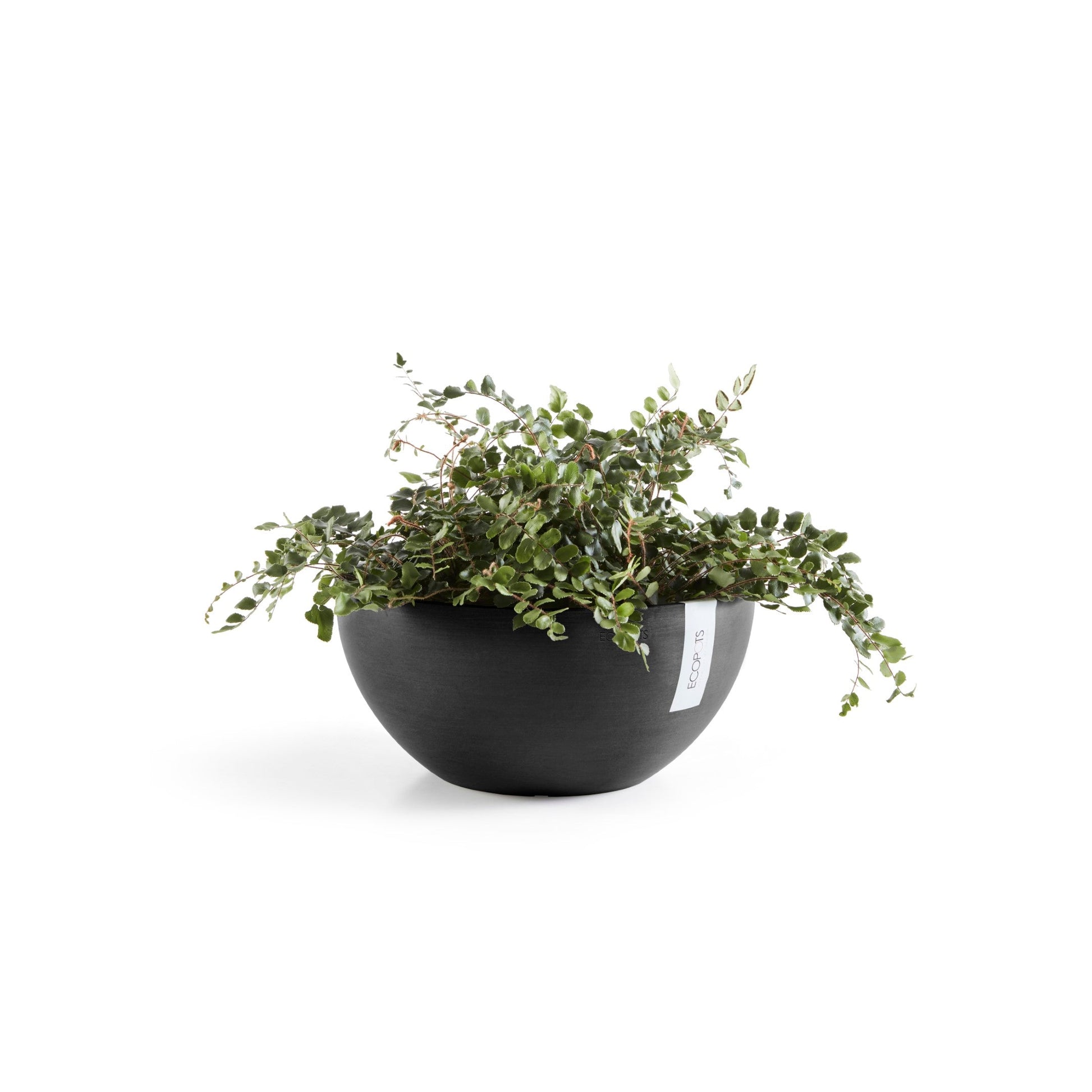 Kukkaruukku - Ecopots - Brysseli 25cm tummanharmaa - Ecopotskauppa - Uuden aikakauden kukkaruukku