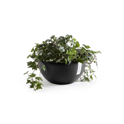 Kukkaruukku Brysseli 25cm tummanharmaa – kasvin kanssa