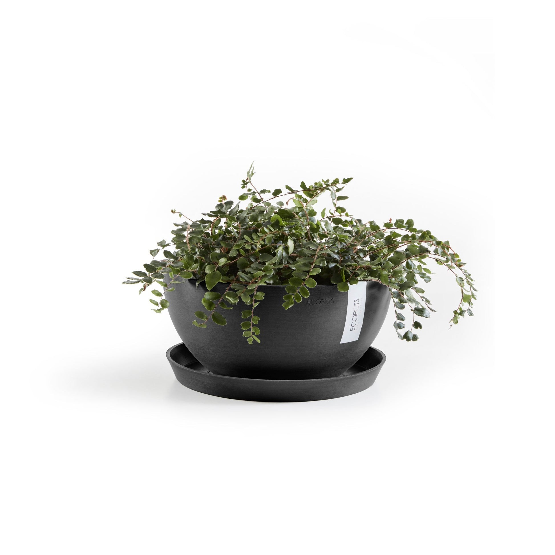 Kukkaruukku - Ecopots - Brysseli 25cm tummanharmaa - Ecopotskauppa - Uuden aikakauden kukkaruukku