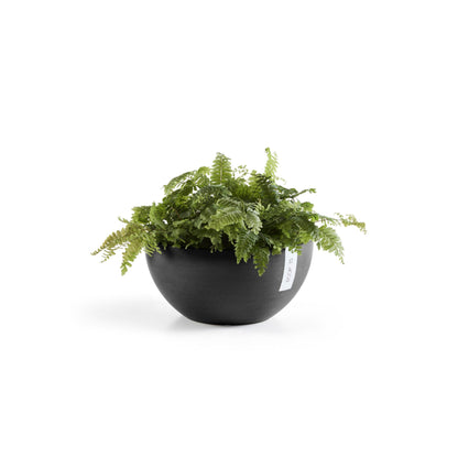Kukkaruukku Brysseli 25cm tummanharmaa – kasvin kanssa 2