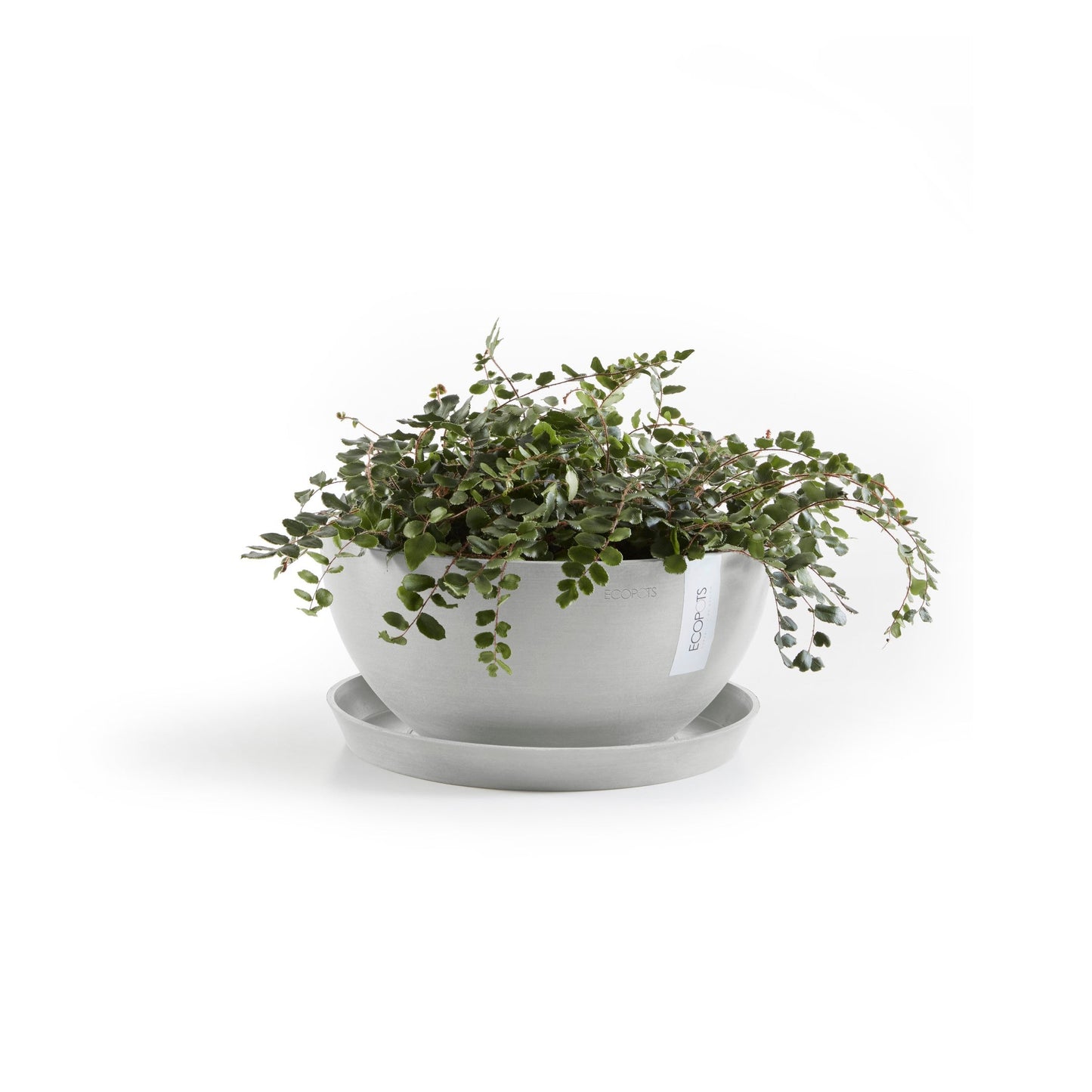 Kukkaruukku - Ecopots - Brysseli 25cm valkoharmaa - Ecopotskauppa - Uuden aikakauden kukkaruukku