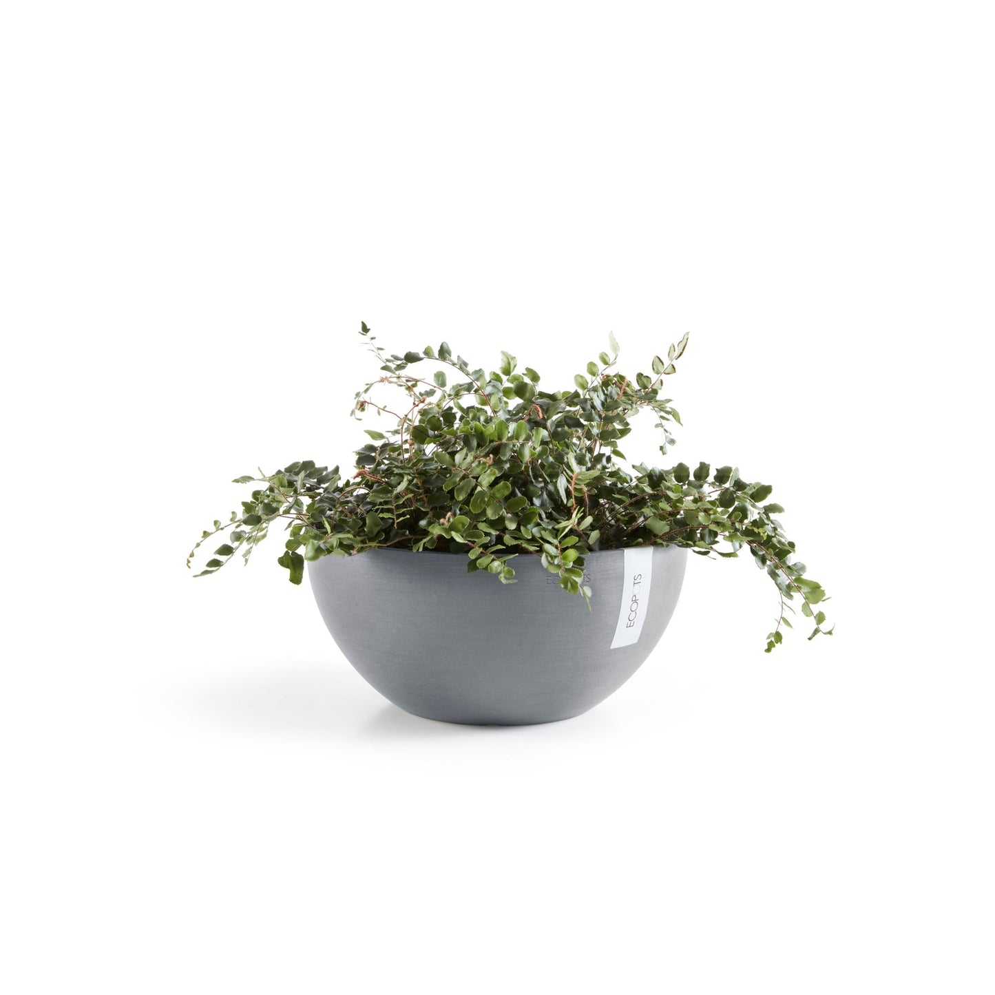 Kukkaruukku - Ecopots - Brysseli 30cm siniharmaa - Ecopotskauppa - Uuden aikakauden kukkaruukku