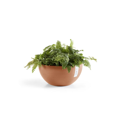 Kukkaruukku Brysseli 30cm terracotta – kasvin kanssa