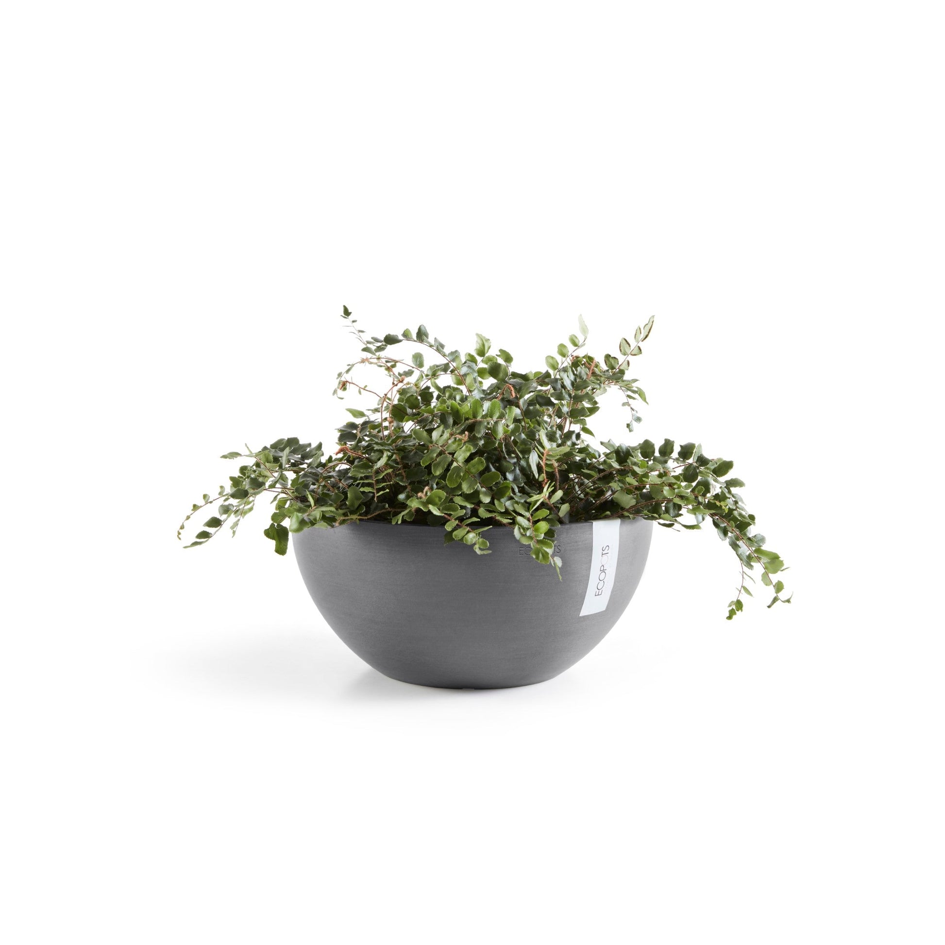 Kukkaruukku - Ecopots - Brysseli 35cm harmaa - Ecopotskauppa - Uuden aikakauden kukkaruukku