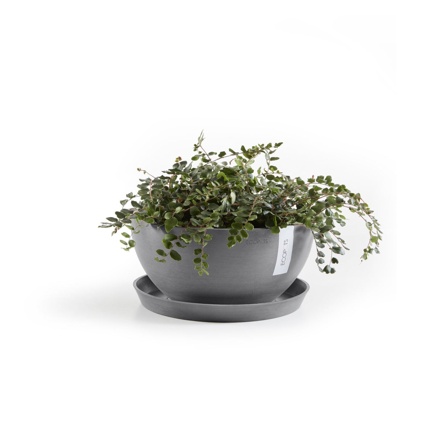 Kukkaruukku - Ecopots - Brysseli 35cm harmaa - Ecopotskauppa - Uuden aikakauden kukkaruukku