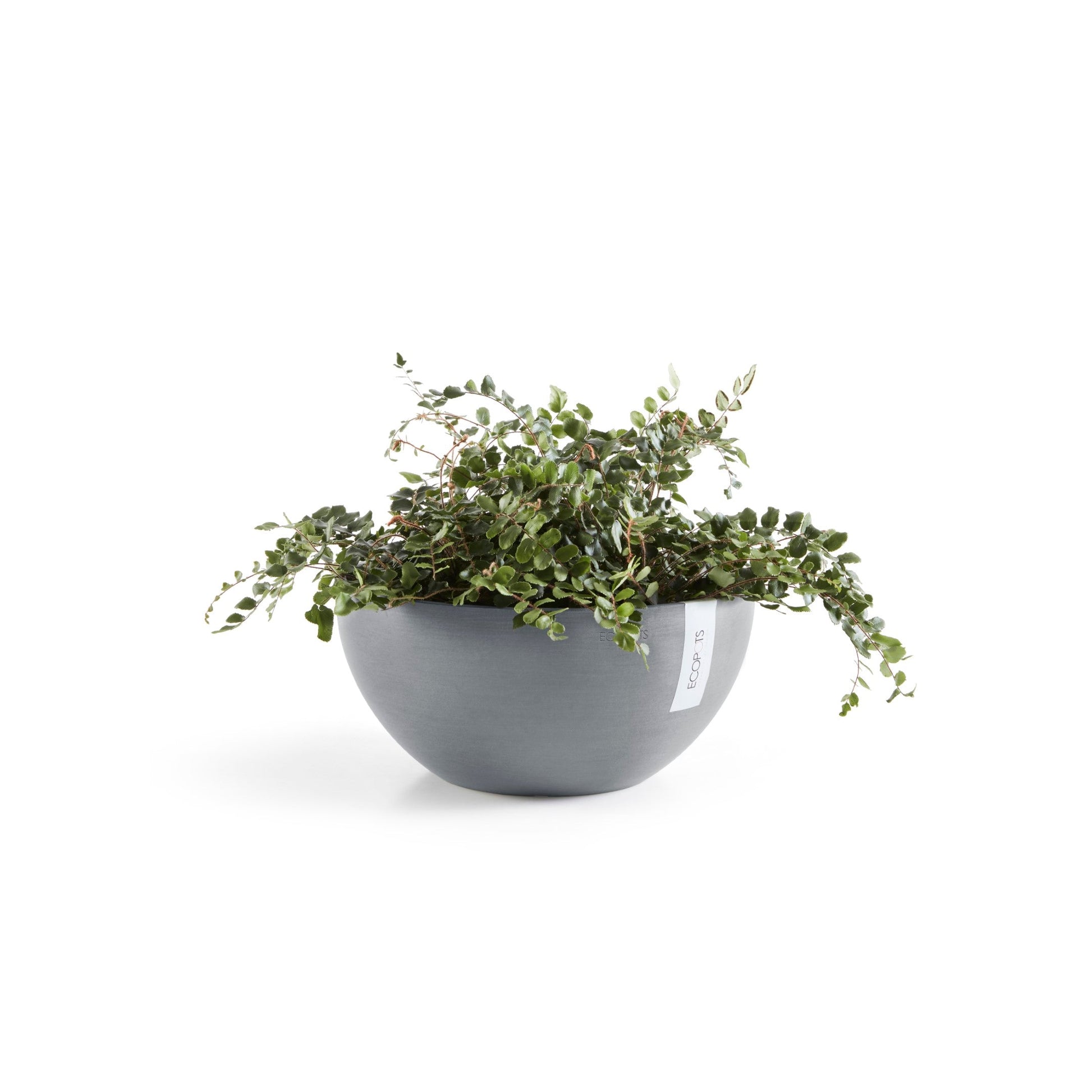 Kukkaruukku - Ecopots - Brysseli 35cm siniharmaa - Ecopotskauppa - Uuden aikakauden kukkaruukku