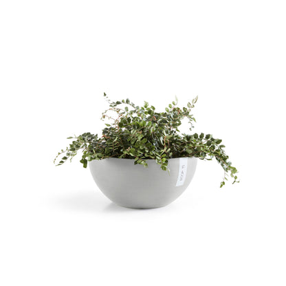 Kukkaruukku Brysseli 35cm valkoharmaa – kasvin kanssa 2