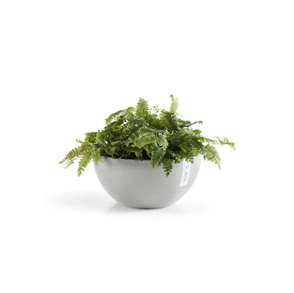 Kukkaruukku Brysseli 35cm valkoharmaa – kasvin kanssa