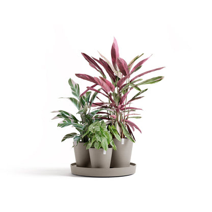 Kukkaruukku Dubai 56cm taupe – kasvin kanssa