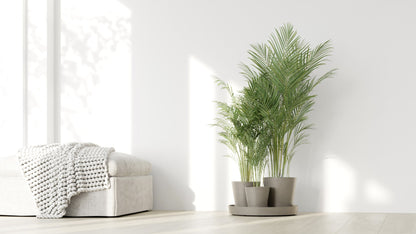 Kukkaruukku Dubai 56cm taupe – tunnelmakuva
