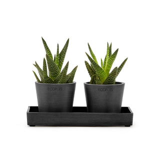 Kruka presentationsbricka 20 cm mörkgrå