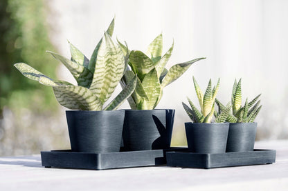 Kukkaruukku - Ecopots - Esillepanotarjotin 25cm tummansininen - Ecopots - Uuden aikakauden kukkaruukku kierrätysmateriaalista