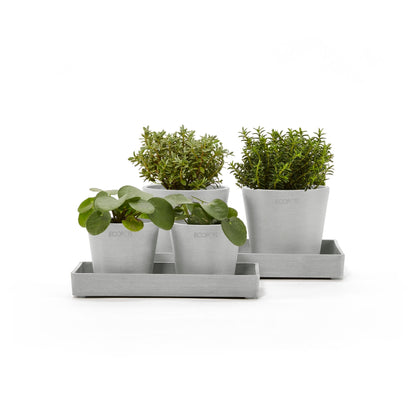 Kukkaruukku esillepanotarjotin 25cm valkoharmaa
