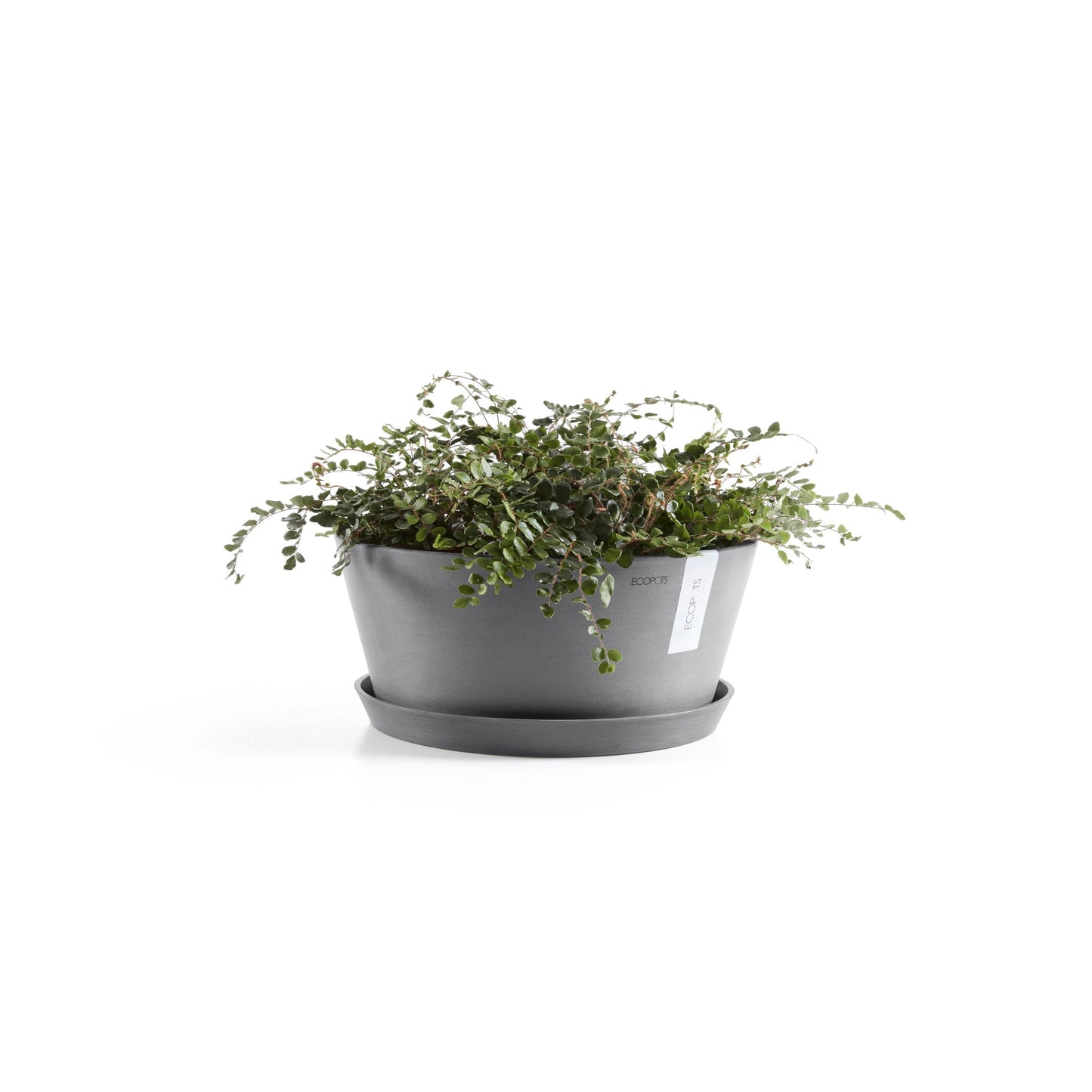 Kukkaruukku - Ecopots - Frankfurt 30cm harmaa - Ecopotskauppa - Uuden aikakauden kukkaruukku