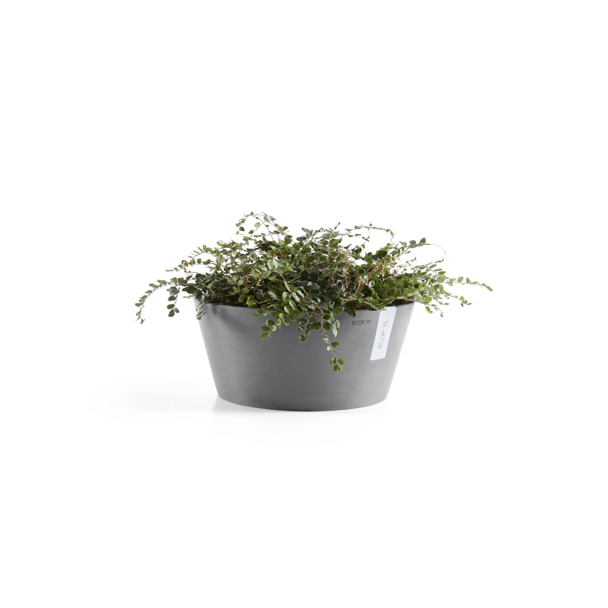 Kukkaruukku - Ecopots - Frankfurt 30cm harmaa - Ecopotskauppa - Uuden aikakauden kukkaruukku