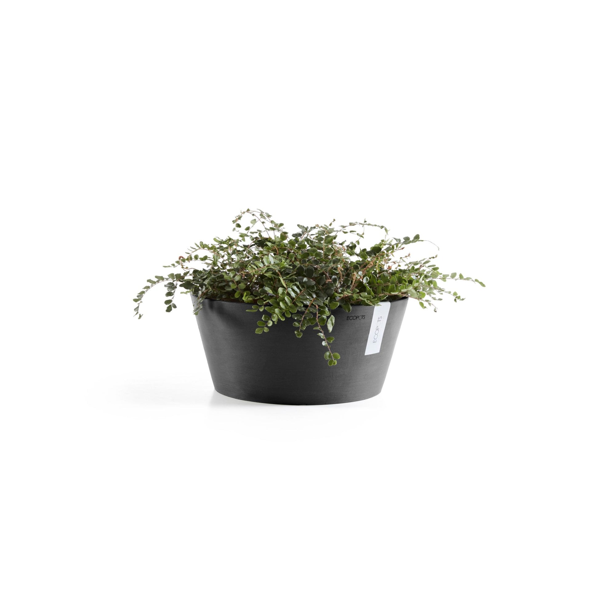 Kukkaruukku - Ecopots - Frankfurt 30cm tummanharmaa - Ecopotskauppa - Uuden aikakauden kukkaruukku