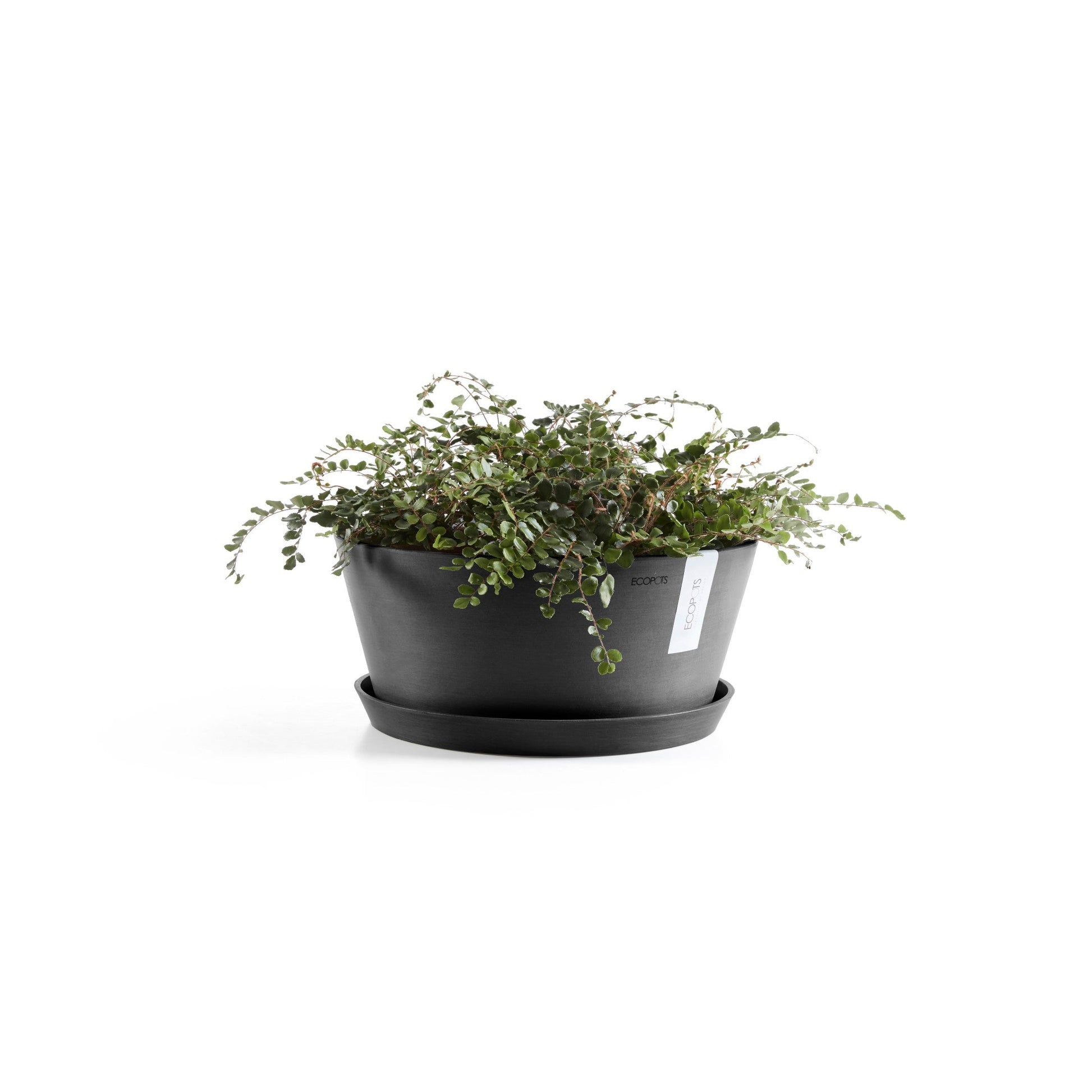 Kukkaruukku - Ecopots - Frankfurt 30cm tummanharmaa - Ecopotskauppa - Uuden aikakauden kukkaruukku