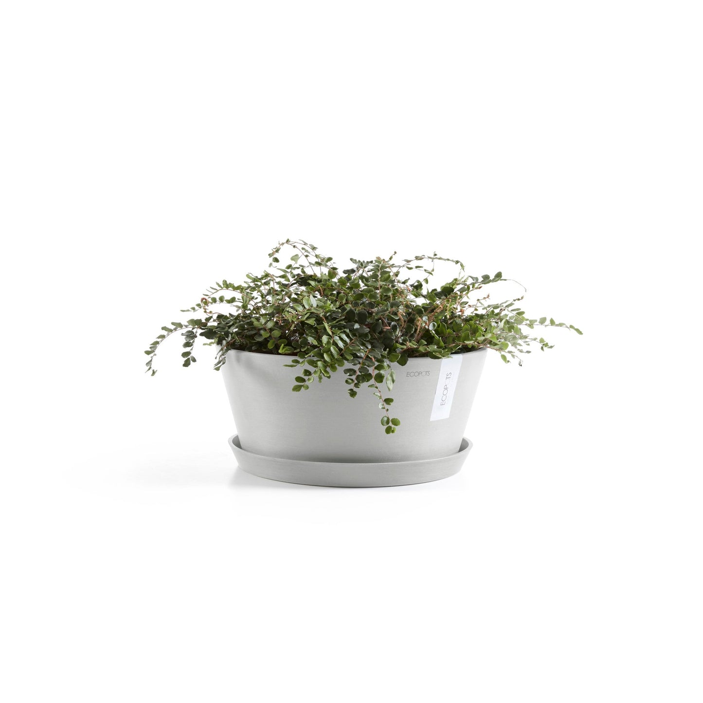 Kukkaruukku - Ecopots - Frankfurt 30cm valkoharmaa - Ecopotskauppa - Uuden aikakauden kukkaruukku