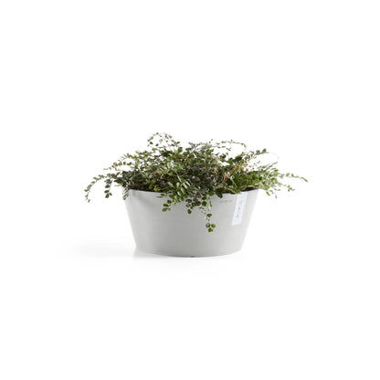 Kukkaruukku Frankfurt 30cm valkoharmaa – kasvin kanssa 3