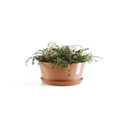 Kukkaruukku Frankfurt 40cm terracotta – aluslautasen ja kasvin kanssa 2