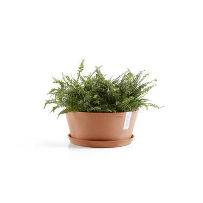 Kukkaruukku Frankfurt 40cm terracotta – aluslautasen ja kasvin kanssa