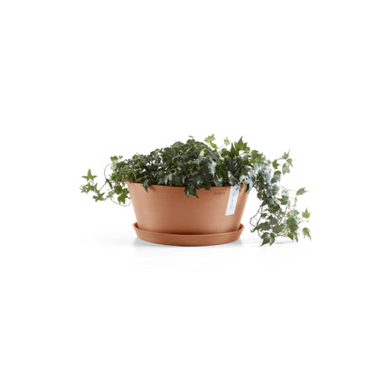 Kukkaruukku Frankfurt 40cm terracotta – aluslautasen ja kasvin kanssa 3
