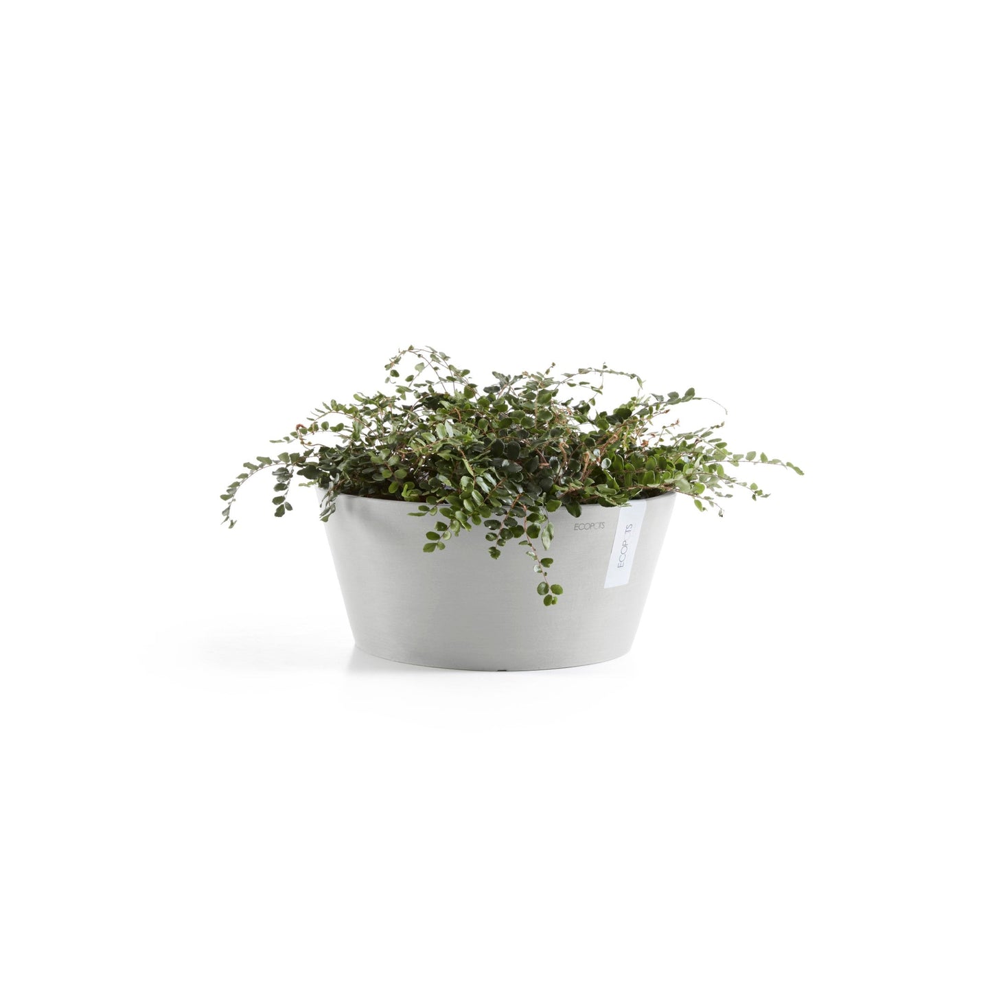 Kukkaruukku - Ecopots - Frankfurt 50cm valkoharmaa - Ecopotskauppa - Uuden aikakauden kukkaruukku