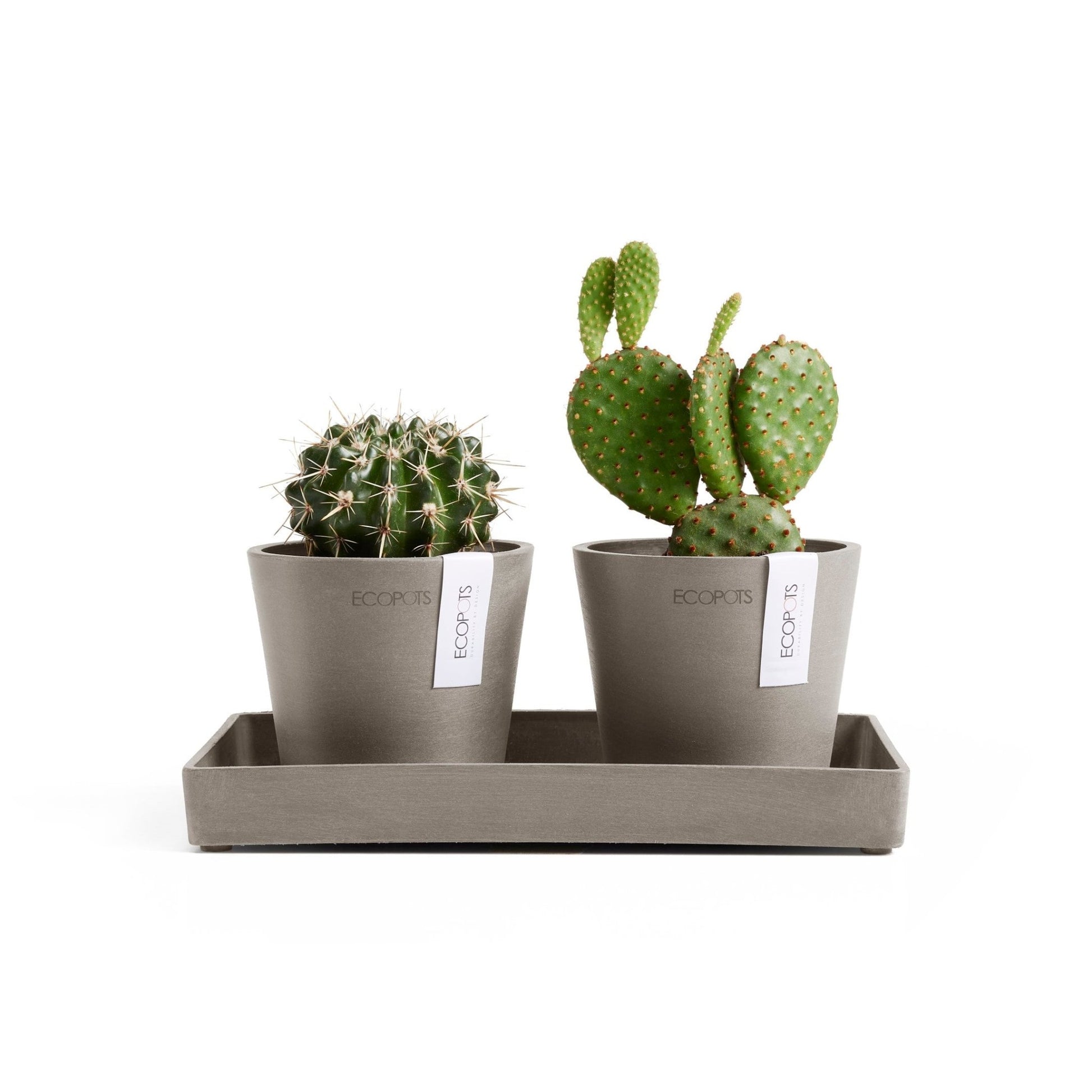 Kukkaruukku - Ecopots - Kukkaruukku Amsterdam 10,5cm 2kpl & esillepanotarjotin 25cm taupe - Ecopots - Uuden aikakauden kukkaruukku kierrätysmateriaalista