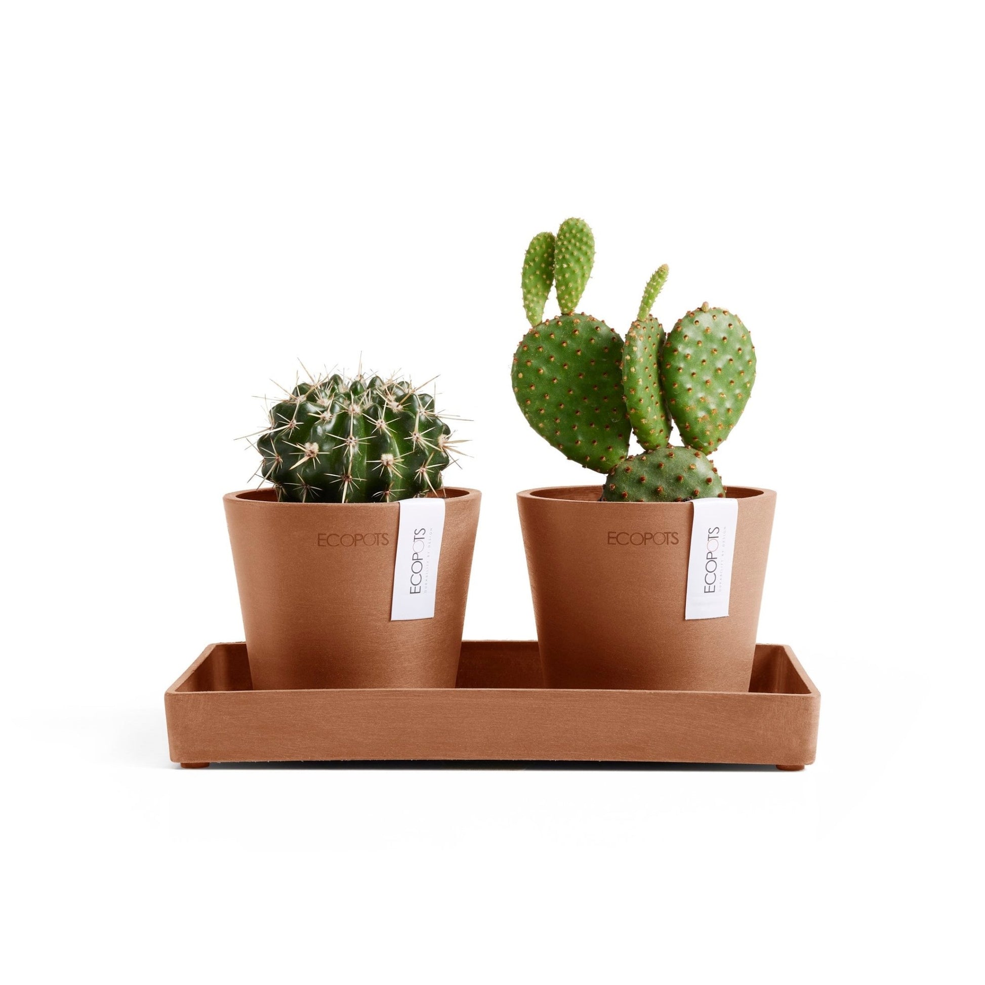 Kukkaruukku - Ecopots - Kukkaruukku Amsterdam 10,5cm 2kpl & esillepanotarjotin 25cm terracotta - Ecopots - Uuden aikakauden kukkaruukku kierrätysmateriaalista